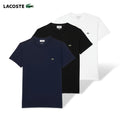 Premium 3-Pack T-Shirts